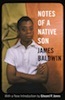 James Baldwin: Notes of a Native Son