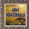 Shwi Nomtekhala: Wangisiza Baba