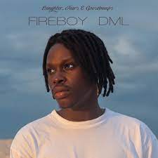 Fireboy DML: Laughter, Tears and Goosebumps