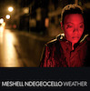 Meshell Ndegeocello: Weather